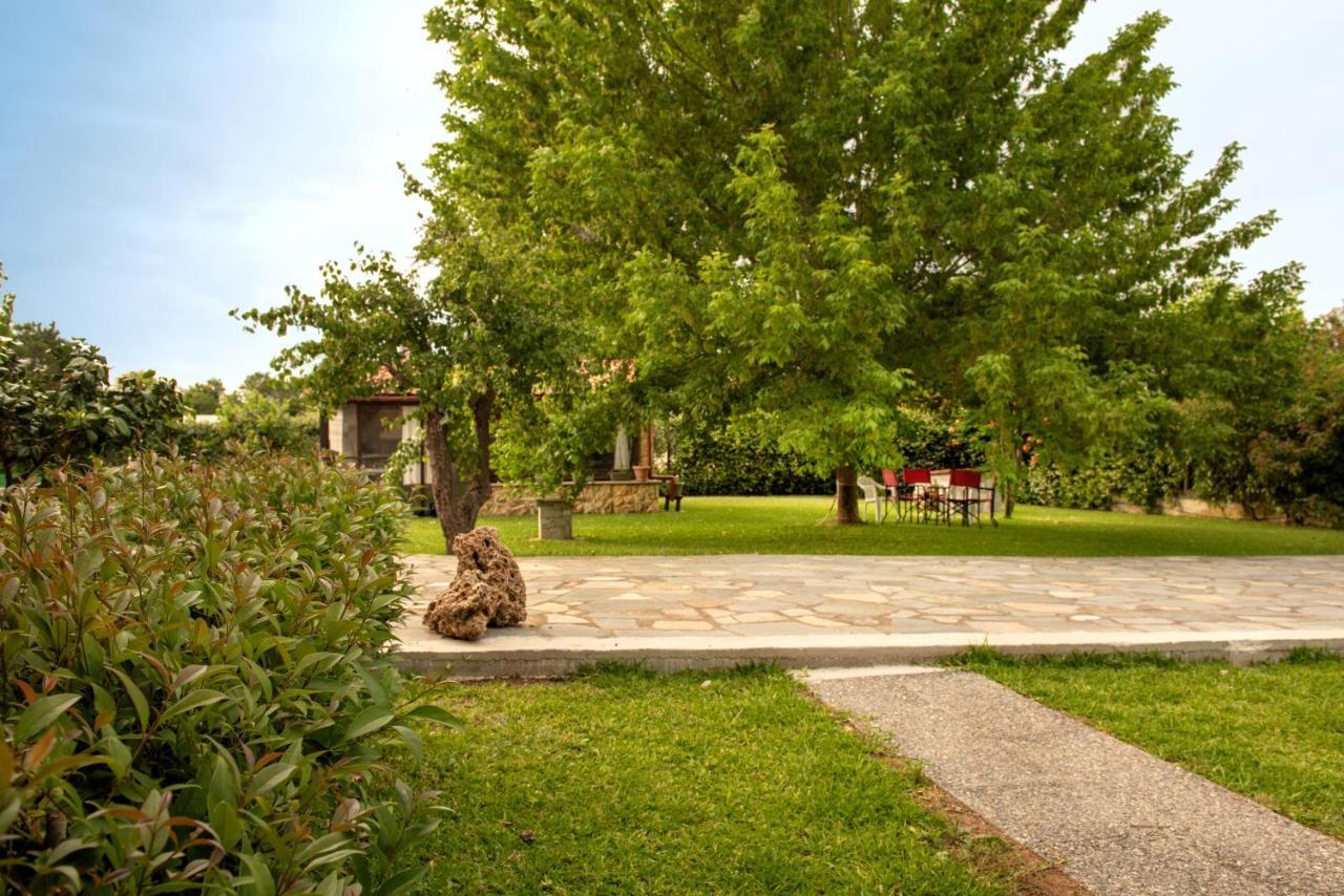 Apartament Άελλα Ierissós Zewnętrze zdjęcie